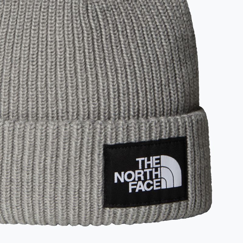 Žieminė kepurė The North Face Salty Lined 2