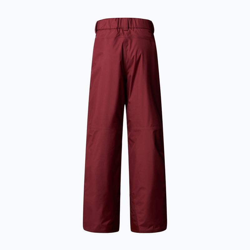 Vaikiškos slidinėjimo kelnės The North Face Freedom Insulated sumac 5