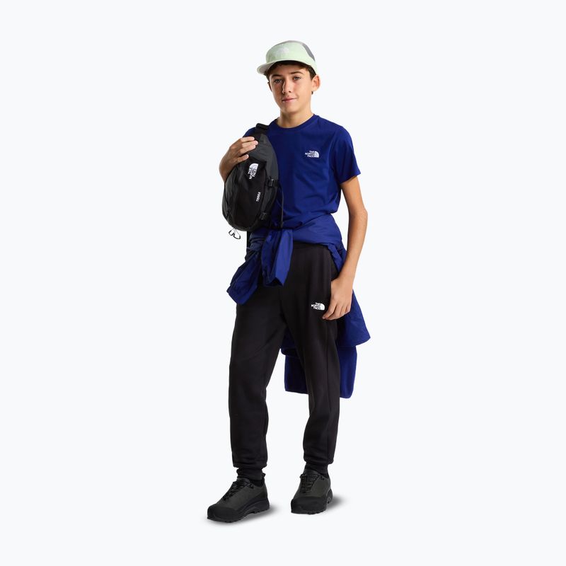 Vyriškos kelnės The North Face Performance Fleece Jogger tnf black 2