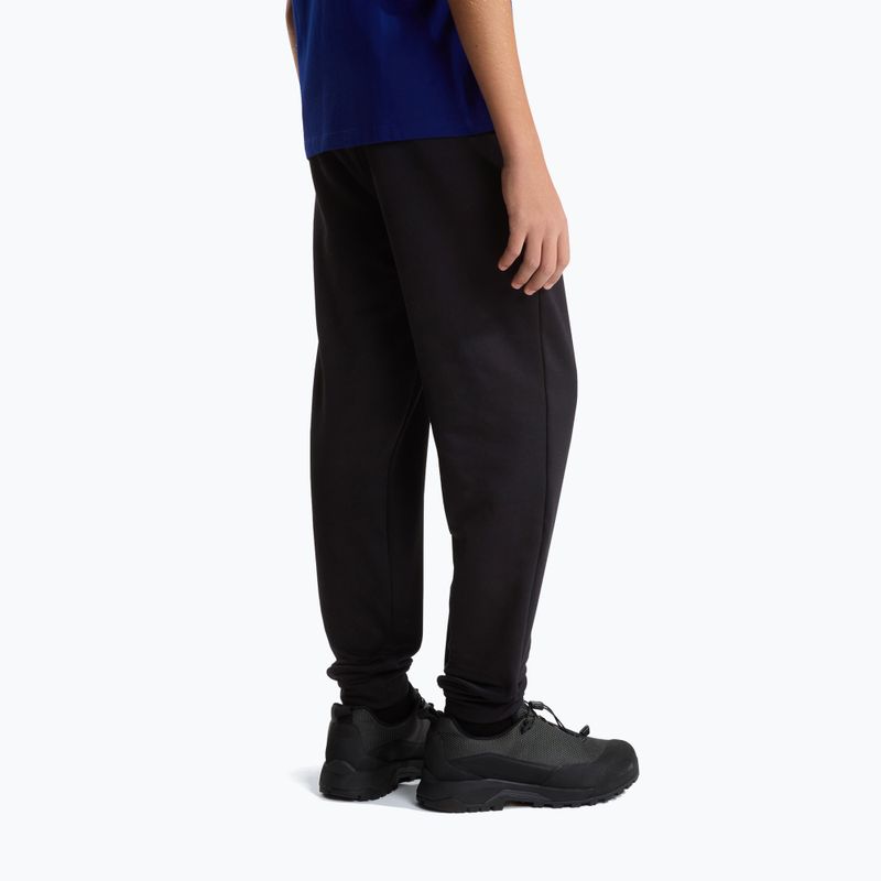 Vyriškos kelnės The North Face Performance Fleece Jogger tnf black 3