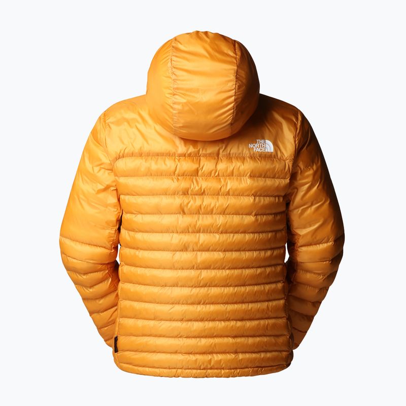 Vyriška striukė The North Face Terra Peak Hoodie citrine yellow 2