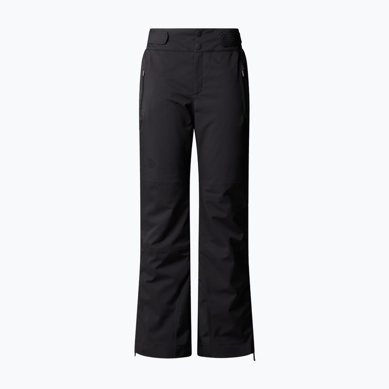 Moteriškos slidinėjimo kelnės The North Face Lenado Short black 4