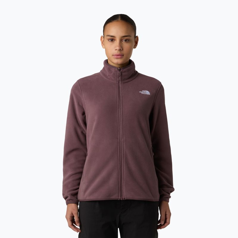 Moteriškas fliso džemperis The North Face Glacier Fleece tawny quartz