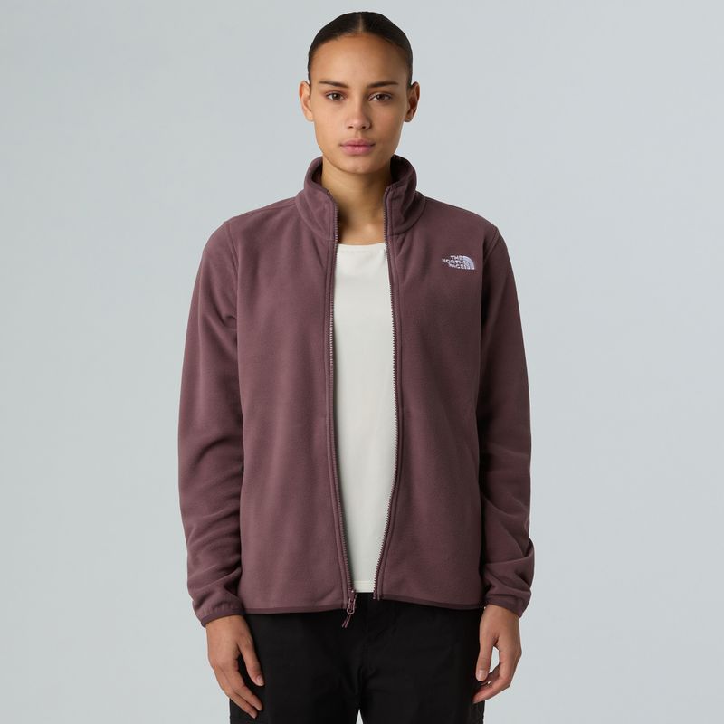 Moteriškas fliso džemperis The North Face Glacier Fleece tawny quartz 4