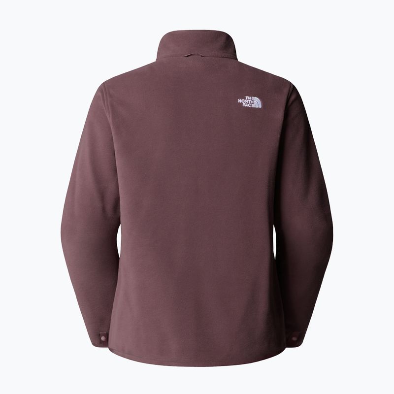 Moteriškas fliso džemperis The North Face Glacier Fleece tawny quartz 6