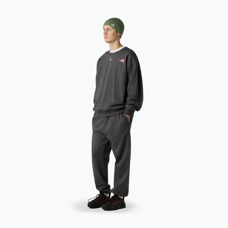 Vyriškos kelnės The North Face Expedition Celebration Relaxed Jogger Reg anthracite grey 2