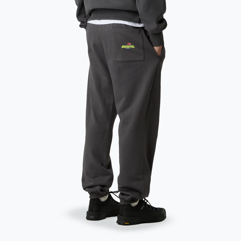 Vyriškos kelnės The North Face Expedition Celebration Relaxed Jogger Reg anthracite grey 3