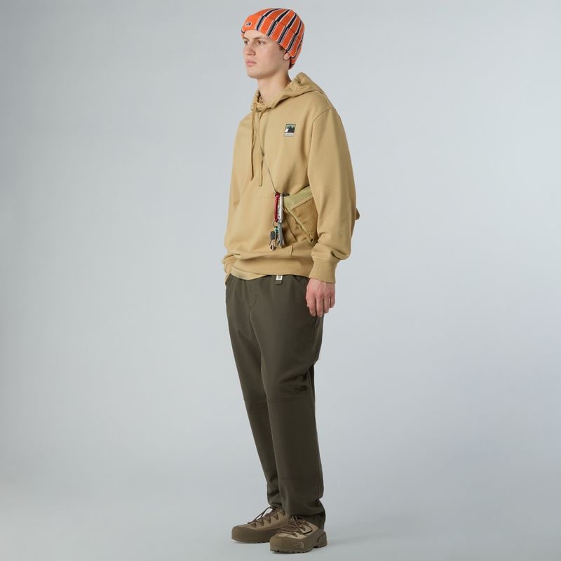 Vyriškas džemperis The North Face Mountain Logo Relaxed Hooded khaki stone 2