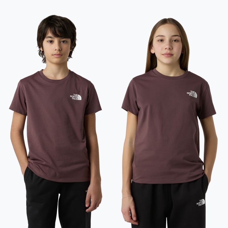 Vaikiški marškinėliai The North Face Simple Dome Tawny Quartz 3