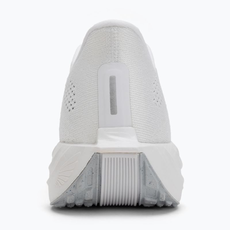 Vyriški bėgimo bateliai Nike Pegasus Plus white / pure platinum / wolf grey 6