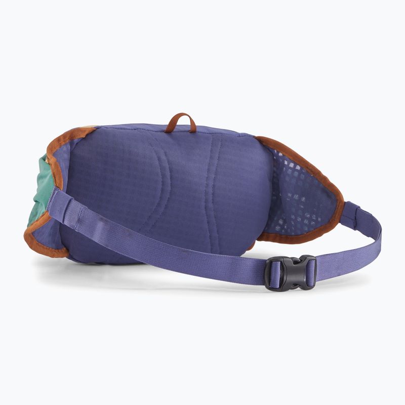 Patagonia Terravia Tote solstice purpurinis inkstų maišelis 2
