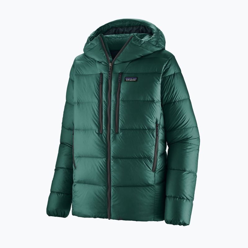 Vyriška pūsta striukė Patagonia Fitz Roy Down Hoody cascade green