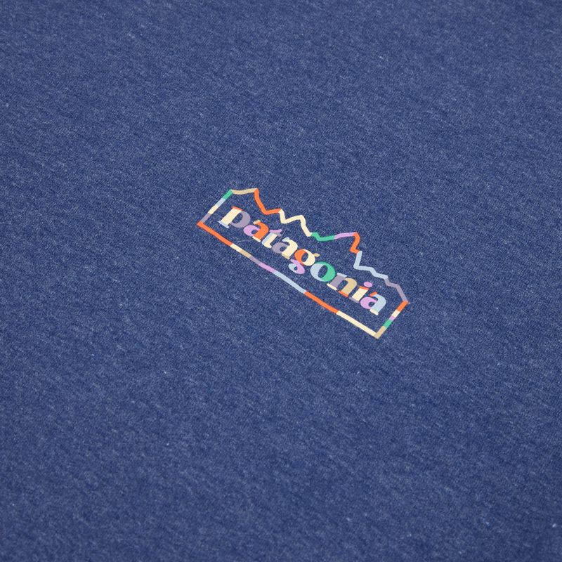 Vyriškas džemperis Patagonia Lightweight Unity Fitz Wildrise Crew clement blue 3