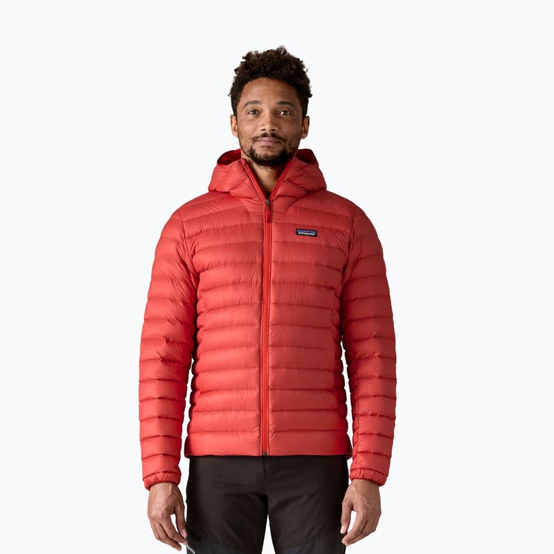 Vyriška pūsta striukė Patagonia Down Sweater Hoody amanita red