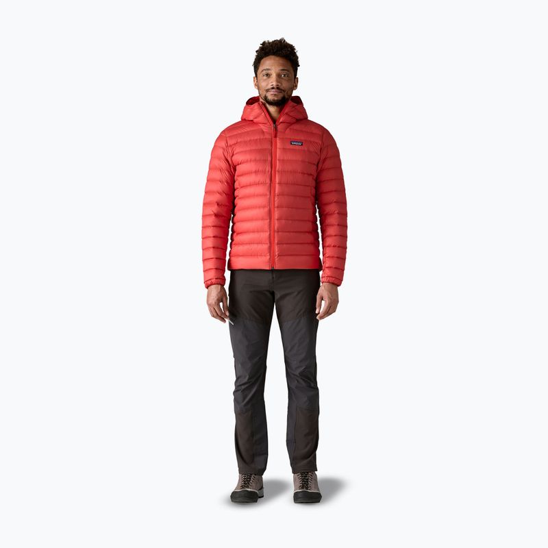 Vyriška pūsta striukė Patagonia Down Sweater Hoody amanita red 2