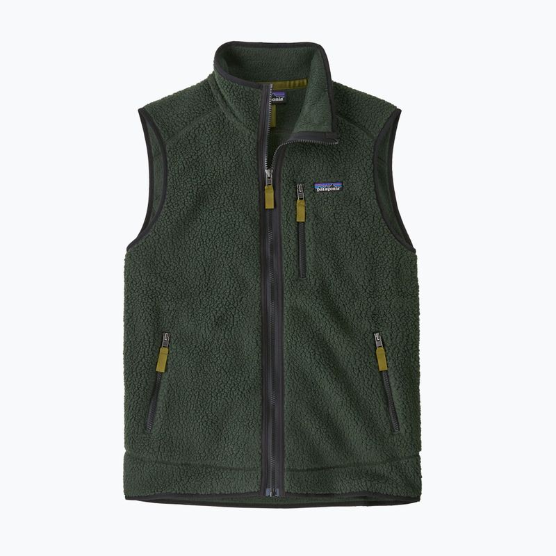 Vyriška liemenė Patagonia Retro Pile Fleece old growth green