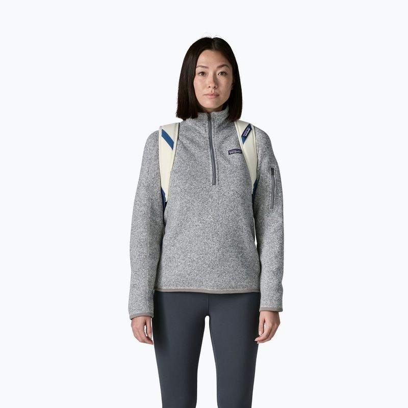 Kelioninis krepšys Patagonia Black Hole Duffel 40 l birch white 4