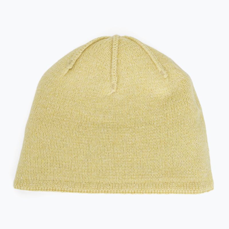 Žieminė kepurė Patagonia Brodeo Beanie vellum green 4