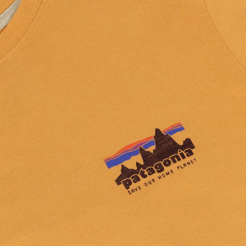 Vyriški marškinėliai Patagonia '73 Skyline T-Shirt dried mango 3