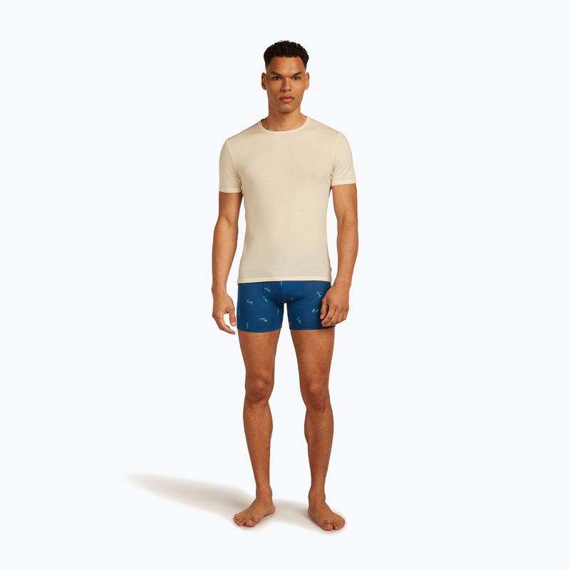 Vyriškos termoaktyvios trumpikės icebreaker Anatomica Snow Day atlantis/topaz/aop 5