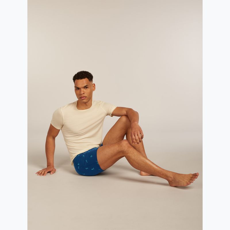 Vyriškos termoaktyvios trumpikės icebreaker Anatomica Snow Day atlantis/topaz/aop 8