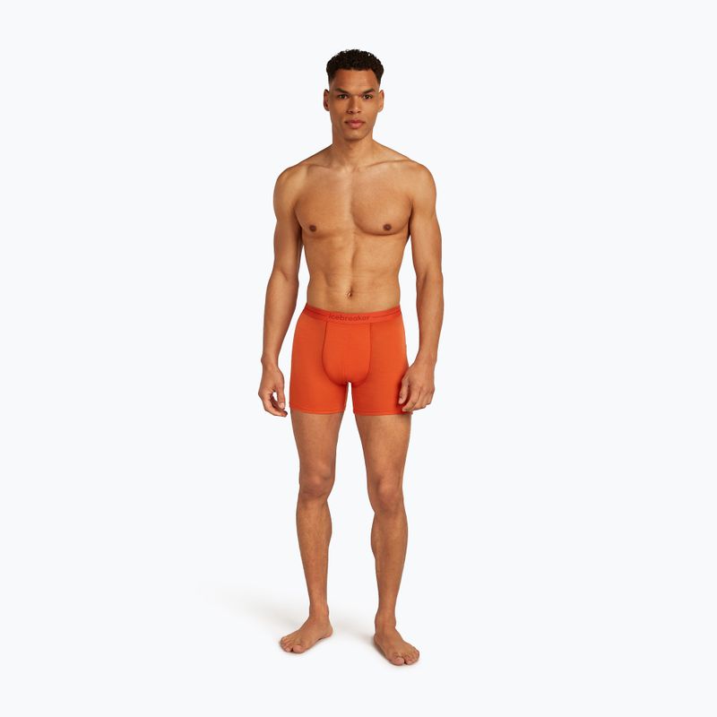 Vyriškos termoaktyvios trumpikės icebreaker Anatomica fervid 3