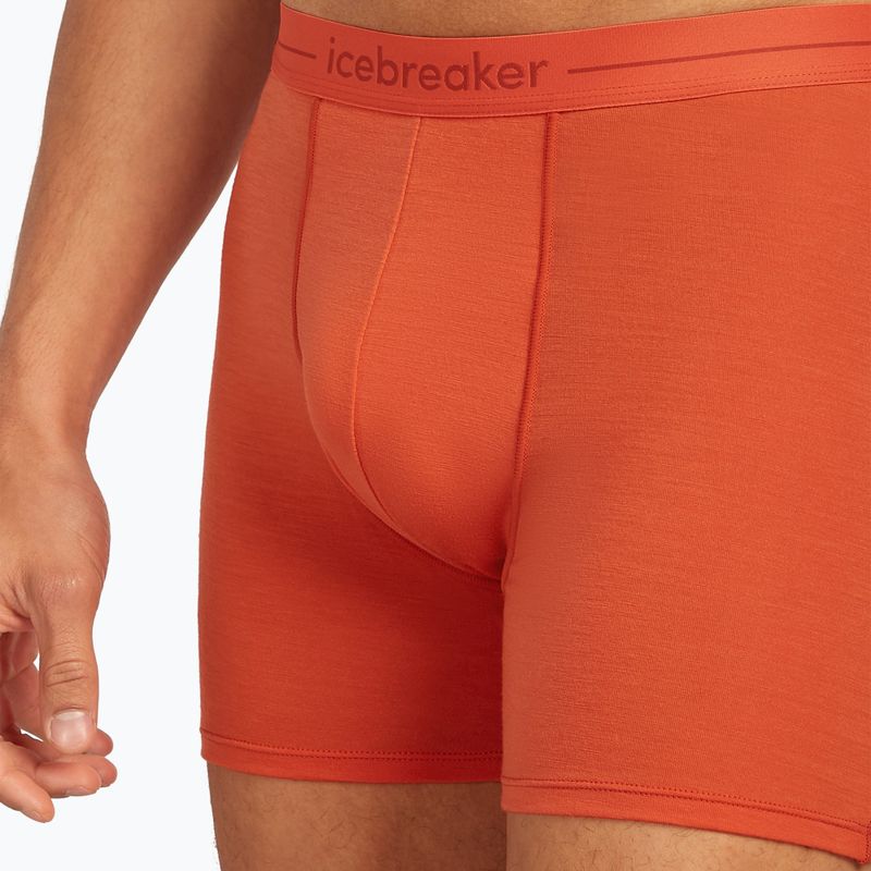 Vyriškos termoaktyvios trumpikės icebreaker Anatomica fervid 5