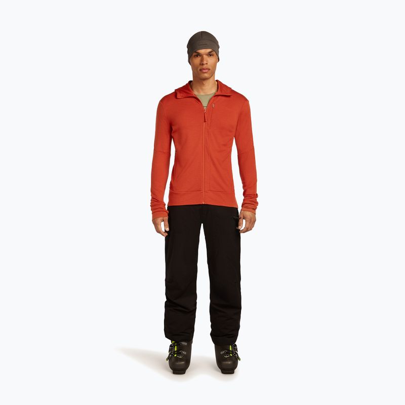 Icebreaker Merino 260 Quantum IV Zip Hoodie vyriška striukė su kapišonu agate 2