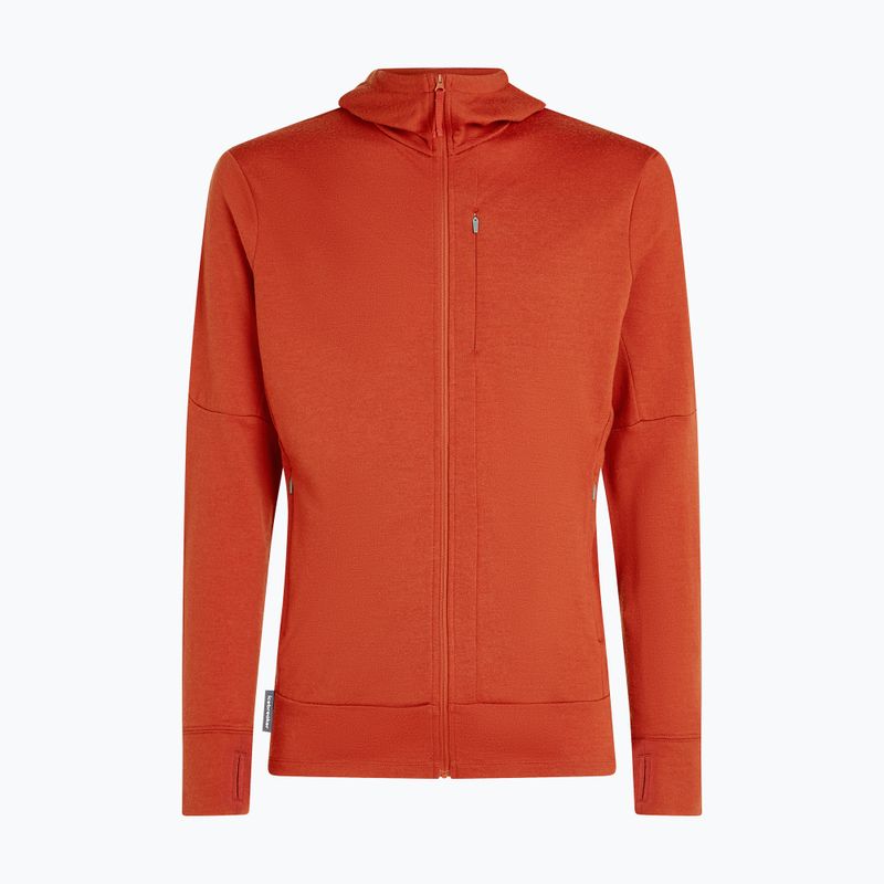 Icebreaker Merino 260 Quantum IV Zip Hoodie vyriška striukė su kapišonu agate 10