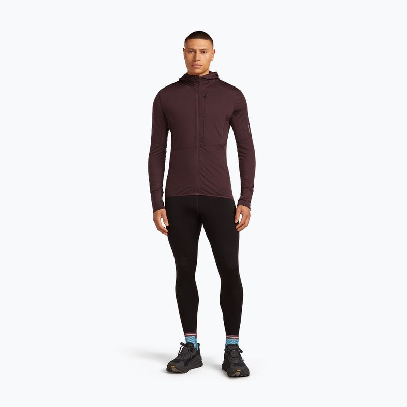 Vyriškas žygio džemperis icebreaker Merino 200 RealFleece Descender Zip Hoodie java 2