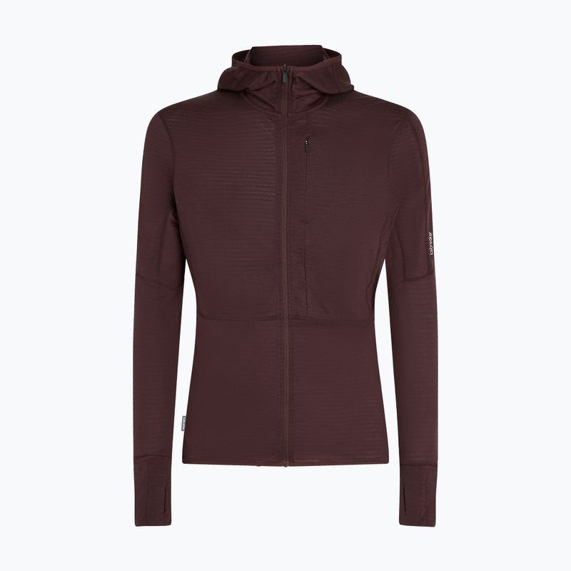 Vyriškas žygio džemperis icebreaker Merino 200 RealFleece Descender Zip Hoodie java 10