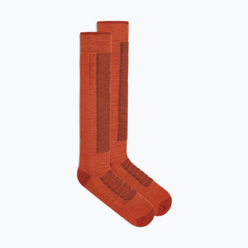 Vyriškos slidinėjimo kojinės Icebreaker Merino Ski+ Medium OTC fervid/agate/java 2
