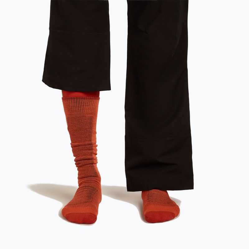 Vyriškos slidinėjimo kojinės Icebreaker Merino Ski+ Medium OTC fervid/agate/java 3