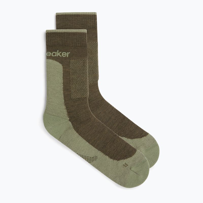 Vyriškos kojinės icebreaker Merino Hike+ Medium Crew loden/lichen 2