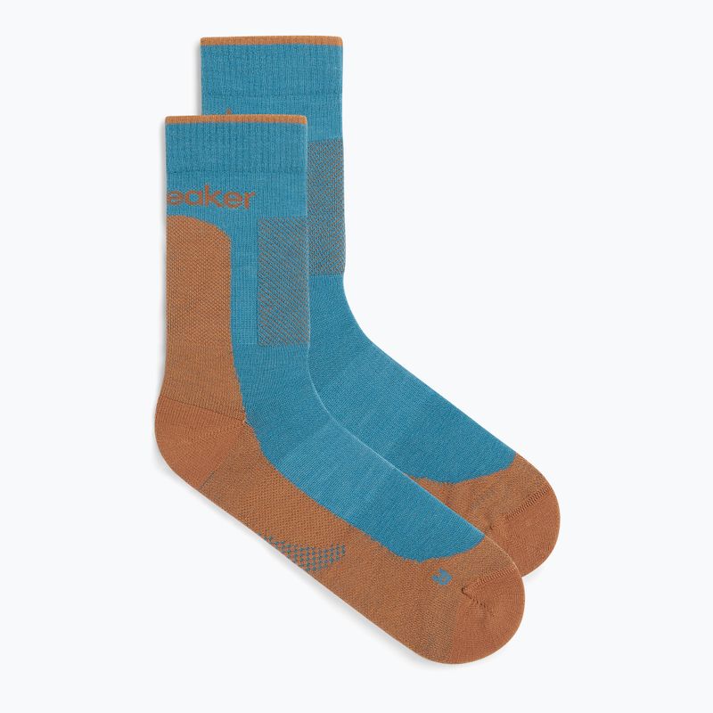 Icebreaker vyriškos kojinės Merino Hike+ Medium Crew topaz/trail 2