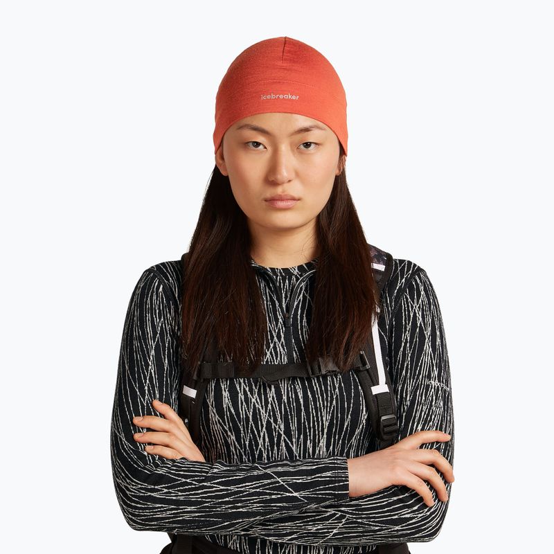 Žieminė kepurė icebreaker Merino 200 Oasis Beanie agate 2