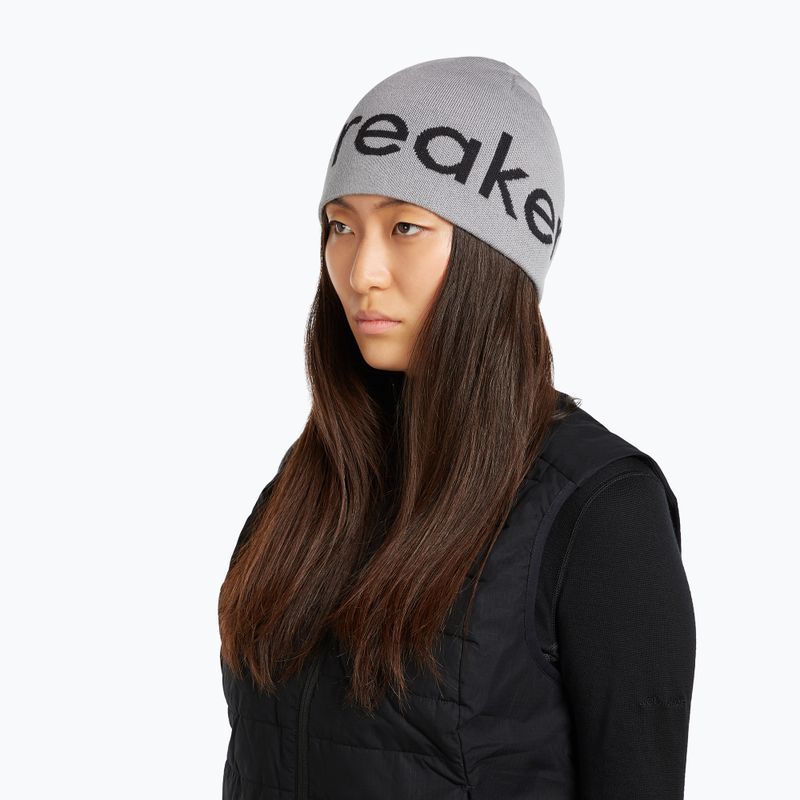 Žieminė kepurė icebreaker Merino Icebreaker Beanie alloy/black 7