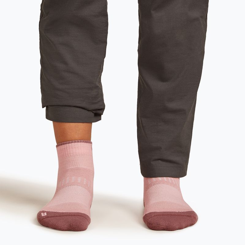"Icebreaker" moteriškos kojinės Merino Hike+ Light Mini blush/summit 4