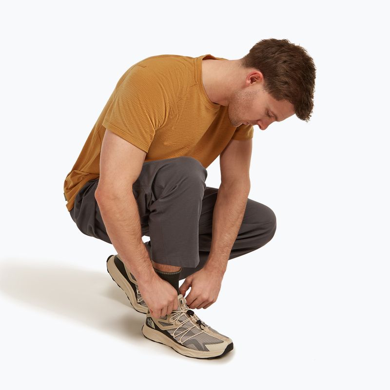 Vyriškos kojinės icebreaker Merino Hike+ Light Crew dark loden/lichen 4