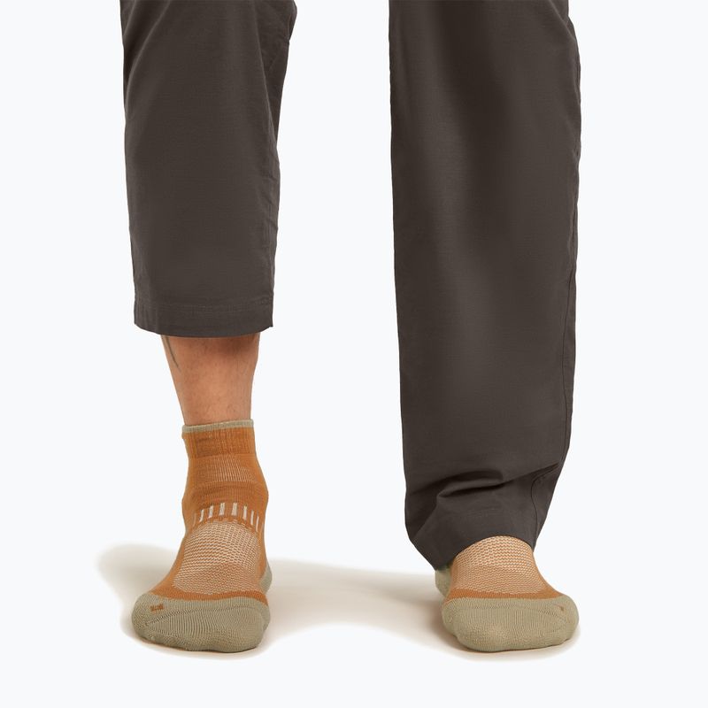 Vyriškos kojinės Icebreaker Merino Hike+ Light Mini trail/flagstone 7