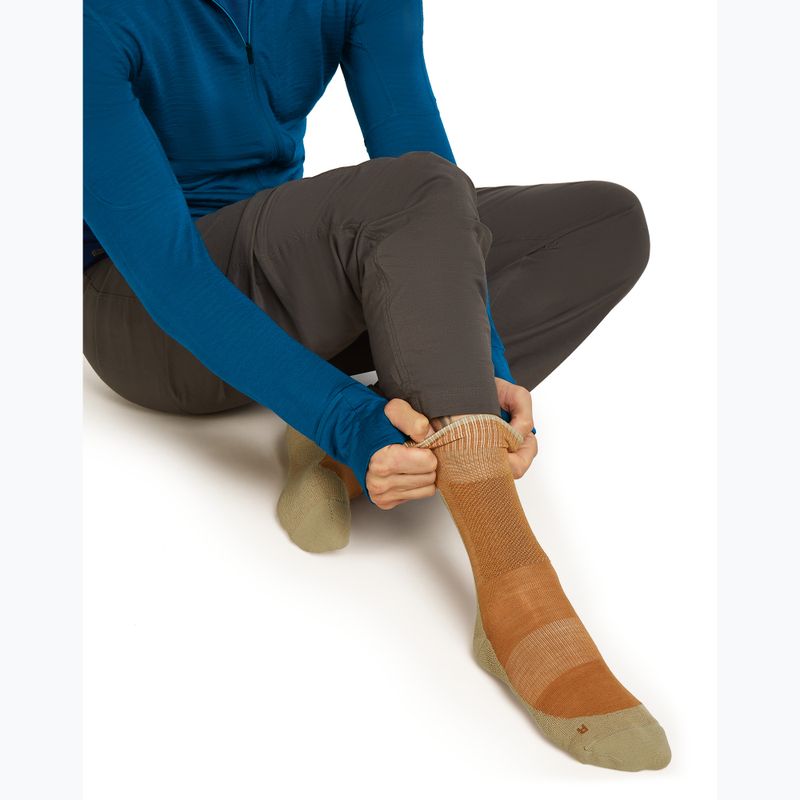 Vyriškos kojinės Icebreaker Merino Hike+ Medium Crew trail/flagstone 4
