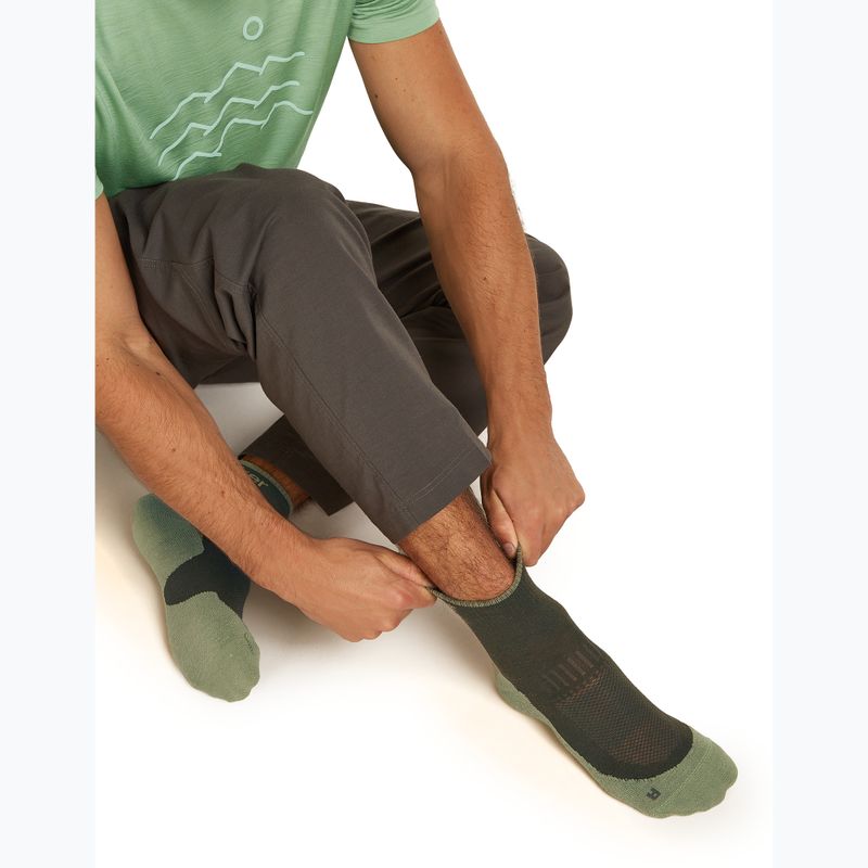 Vyriškos kojinės Icebreaker Merino Hike+ Light Mini dark loden/lichen 8
