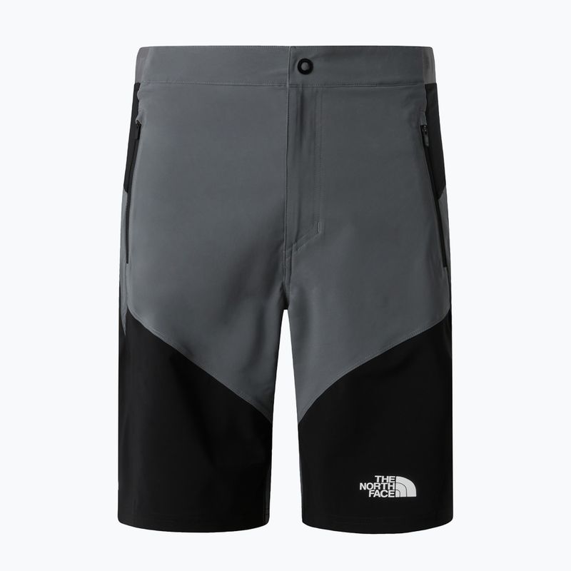 Vyriški žygio šortai The North Face Felik Slim Tapered Short smoked pearl/tnf black 5