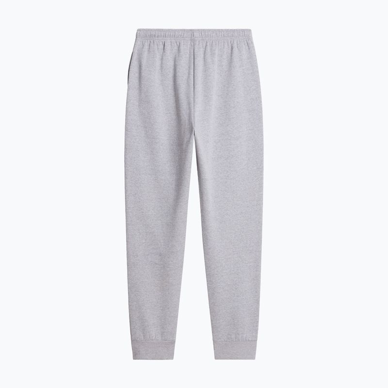 Vyriškos kelnės The North Face Evolution Simple Dome Regular Jogger tnf pale grey h 5