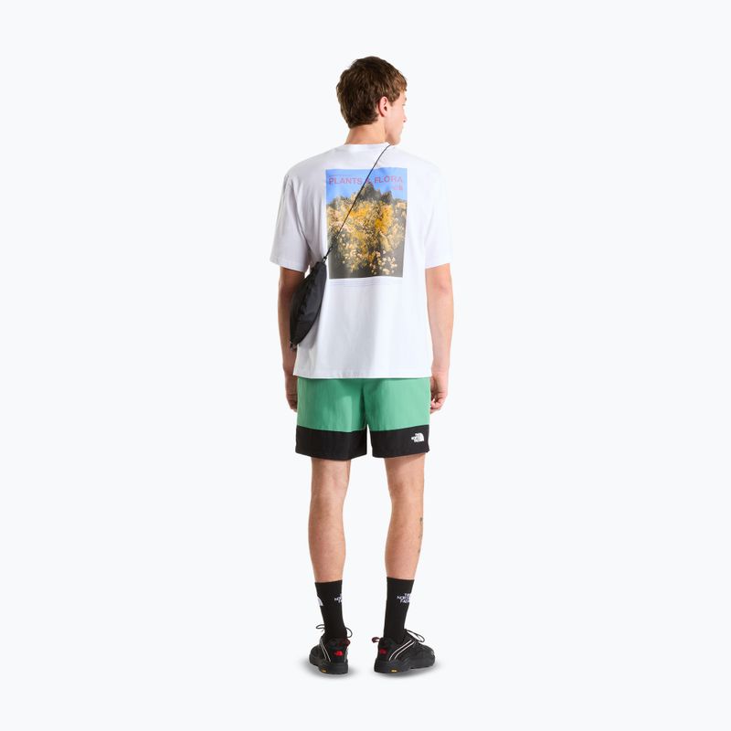 Vyriški žygio šortai The North Face Leynar dimmed algae/tnf black 2