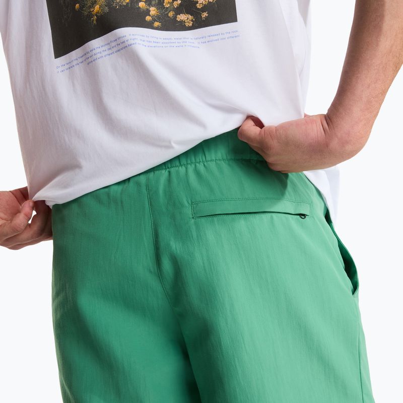 Vyriški žygio šortai The North Face Leynar dimmed algae/tnf black 6