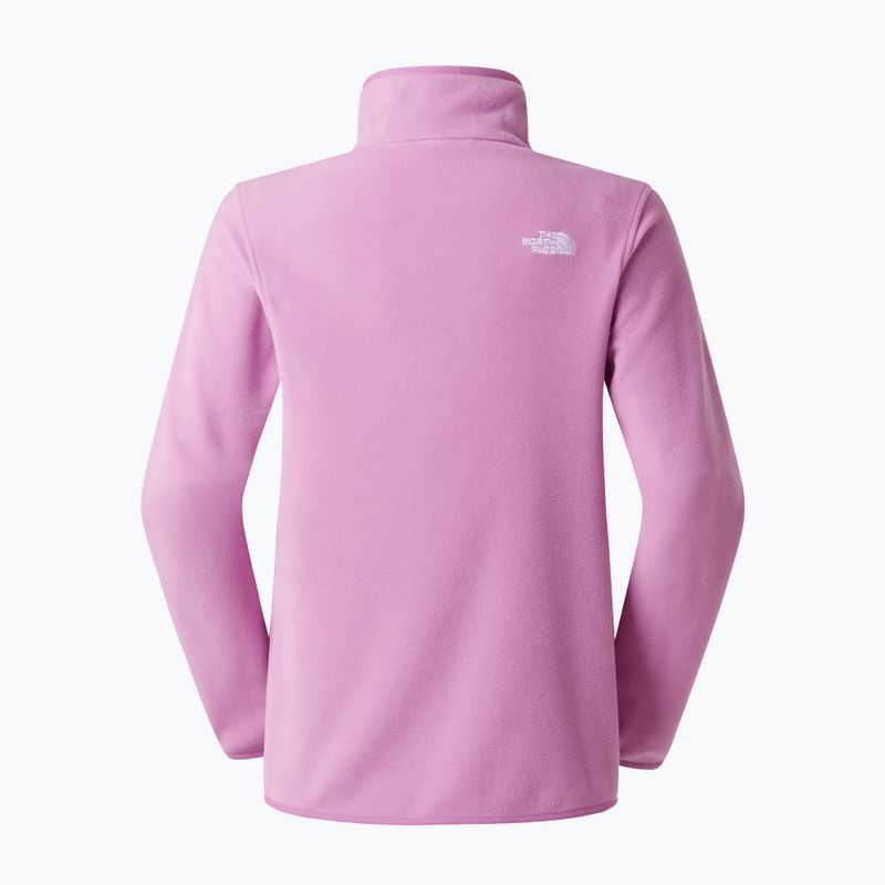 Moteriškas džemperis The North Face Glacier Fleece 1/4 Zip 6