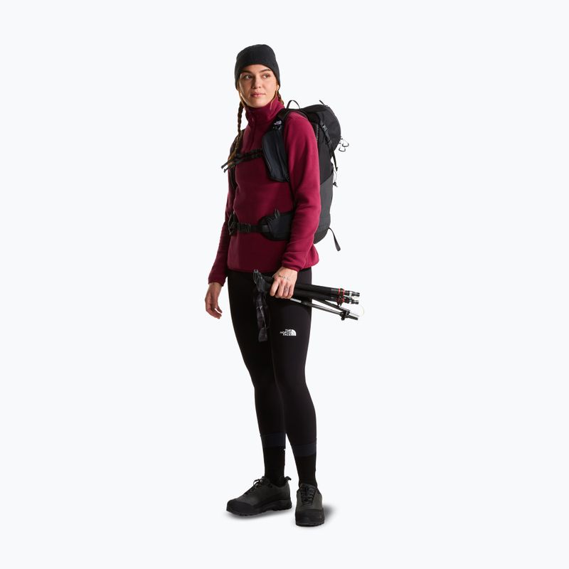 Moteriškas flisinis džemperis The North Face Glacier Fleece 1/4 Zip burgundy crush 2