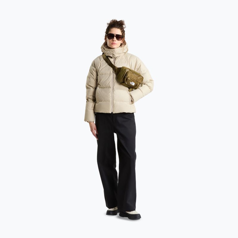 Moteriška pūsta striukė The North Face Hydrenalite City Down Hooded timeless taupe 2
