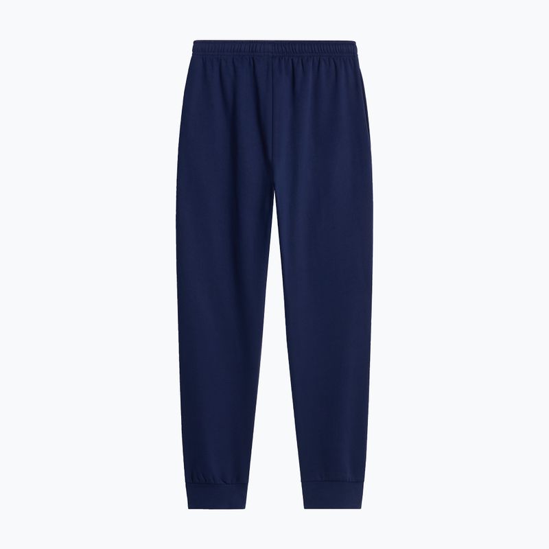Vyriškos kelnės The North Face Evolution Simple Dome Regular Joggers summit navy 5